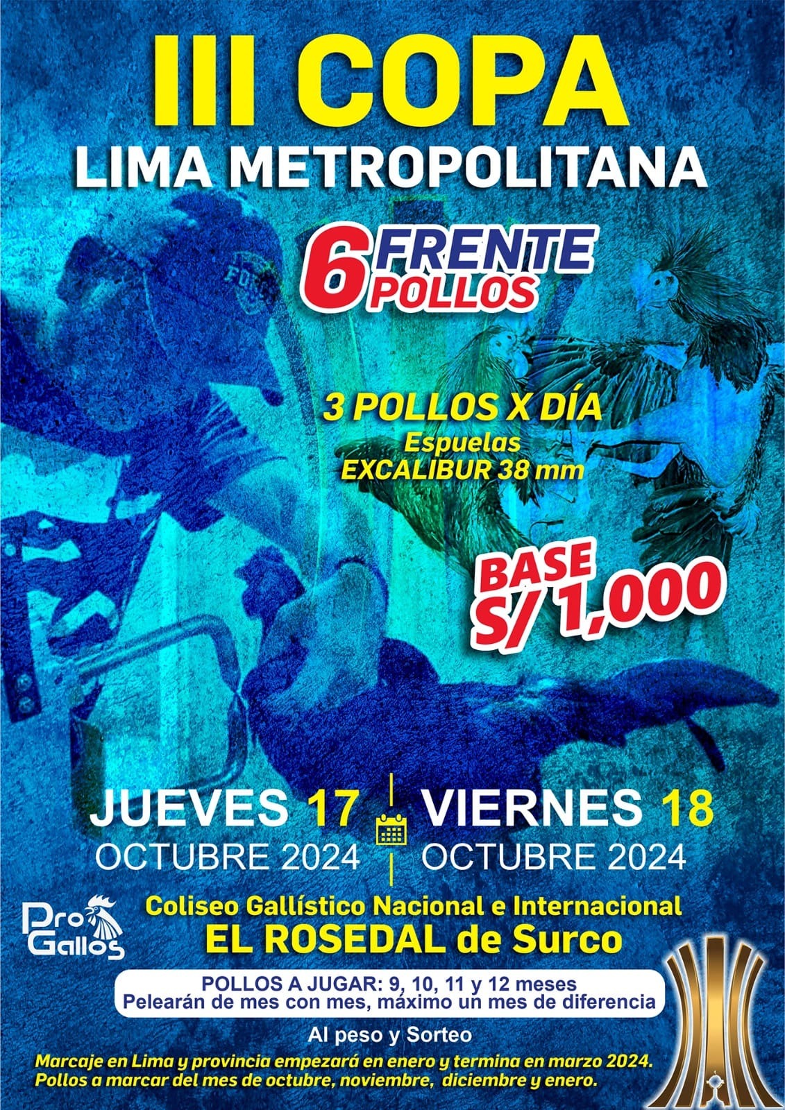 III Copa Lima Metropolitana