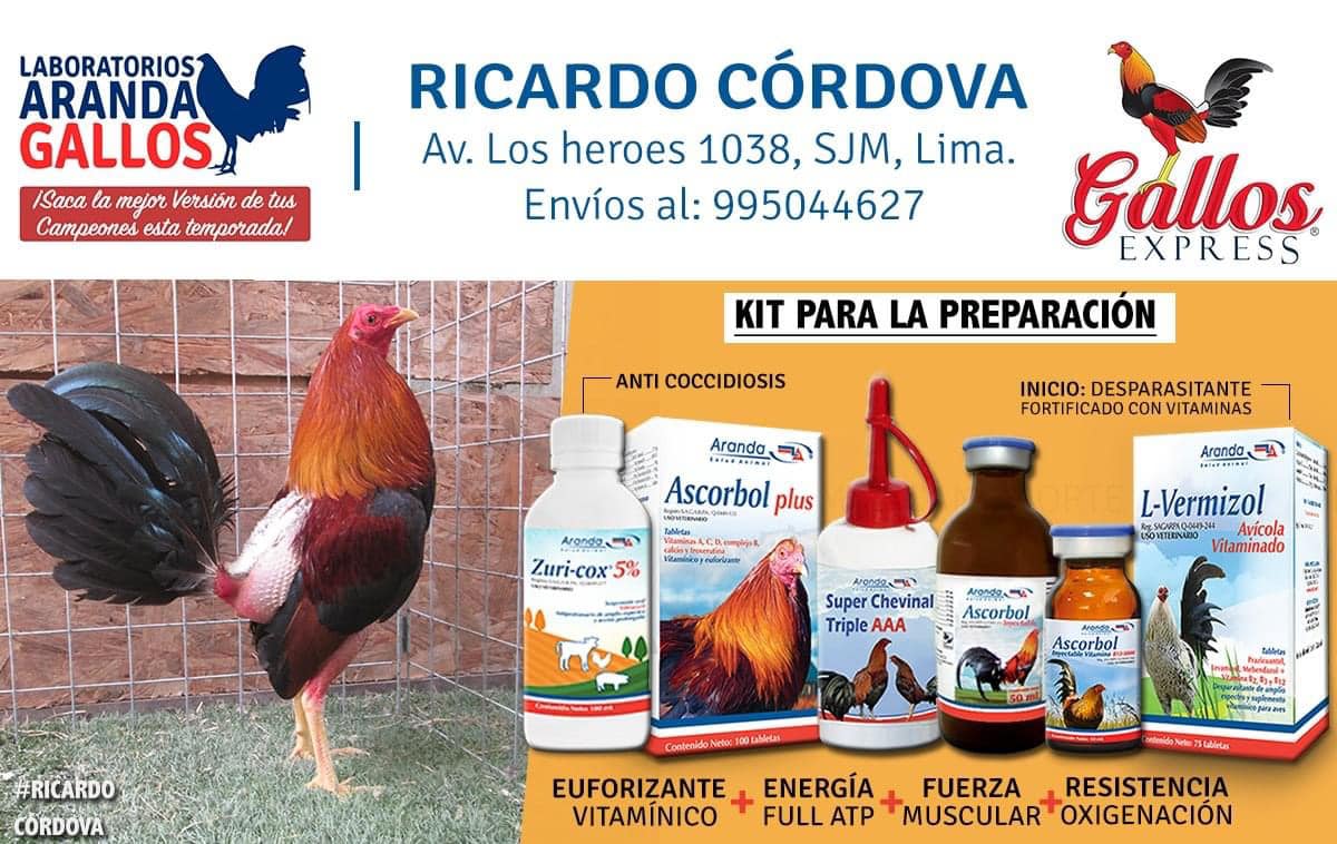 ASCORBOL INYECTABLE 50 ML