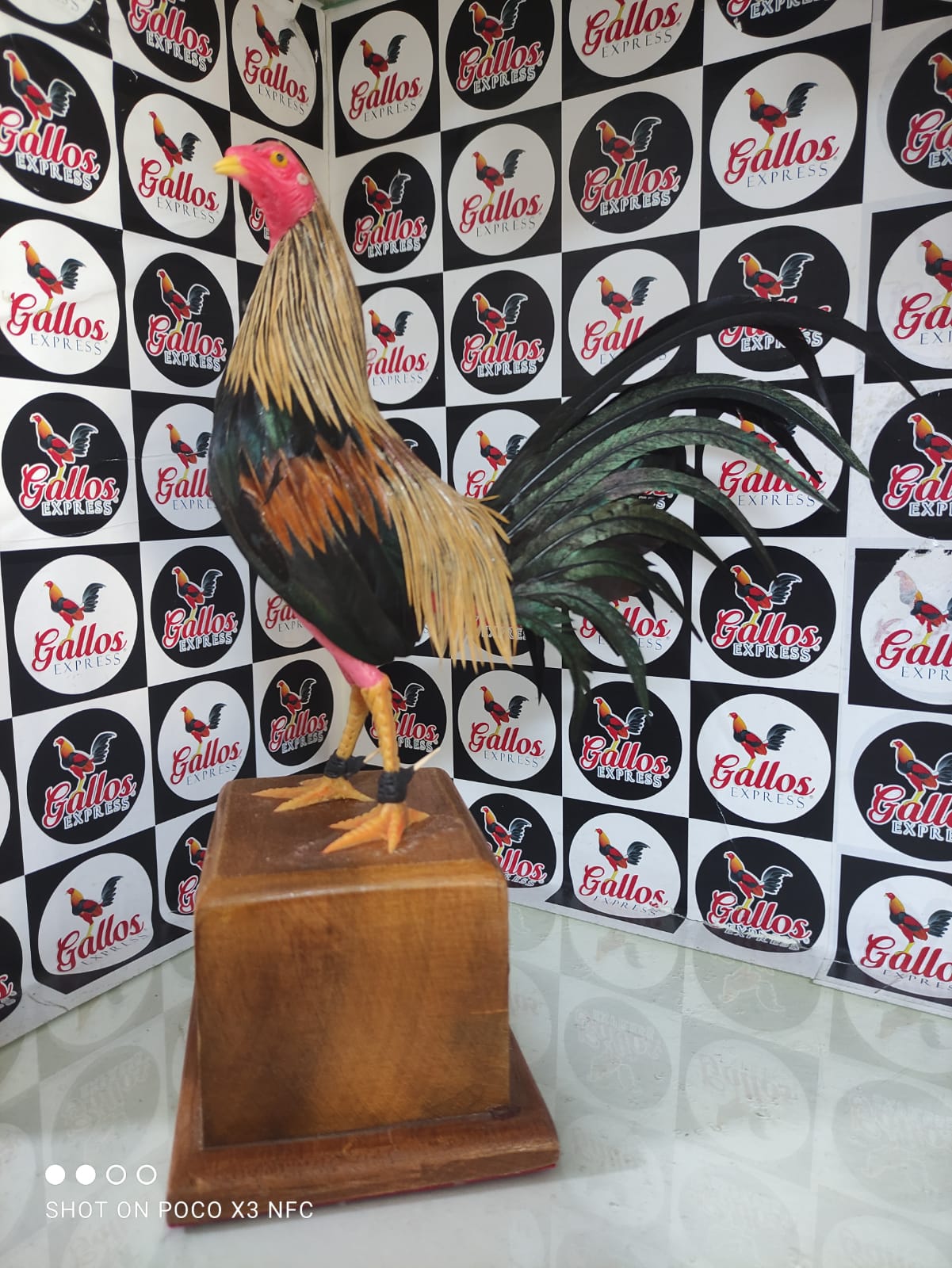 ARTESANIA DE GALLO PLUMA