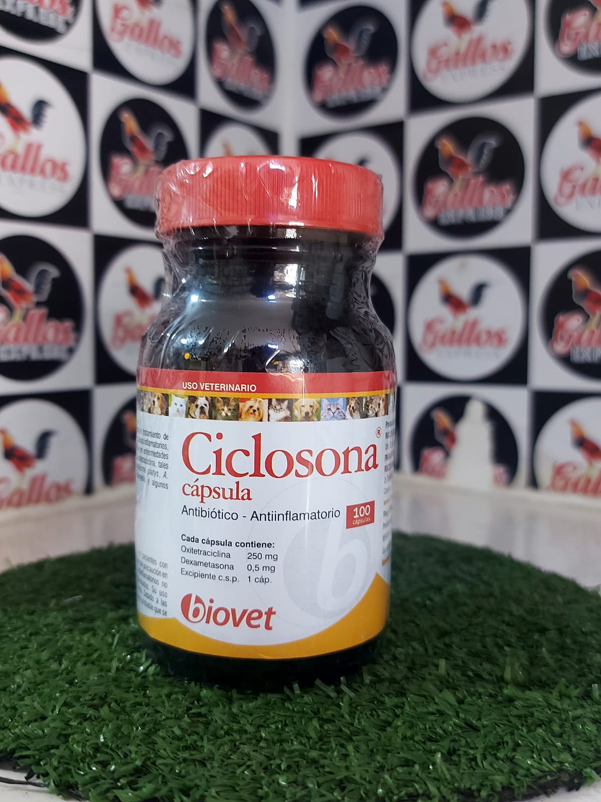 CICLOSONA DE 100 CAP