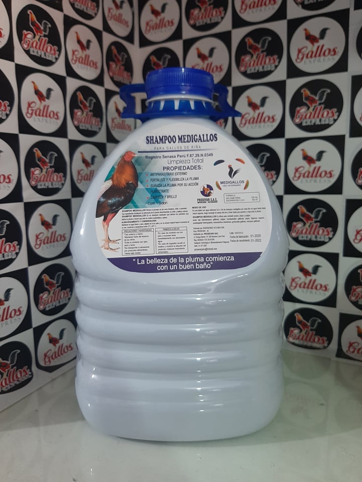 SHAMPOO  GALON