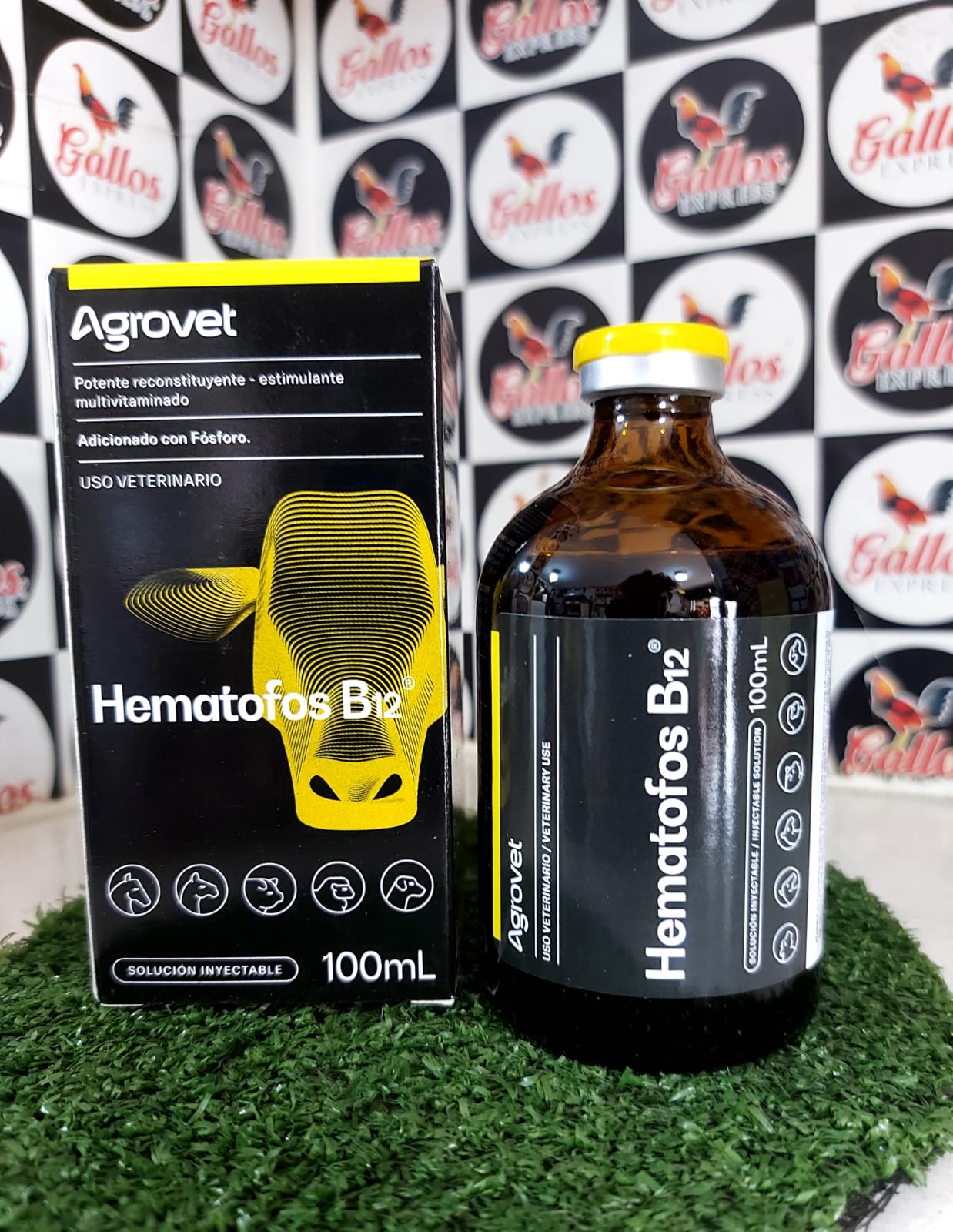 HEMATOFOST B12  100ML